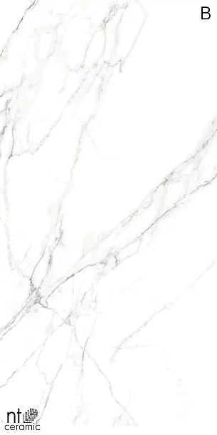 Фото Керамогранит Calacatta Light 120x270 (NTT3506L) Китай