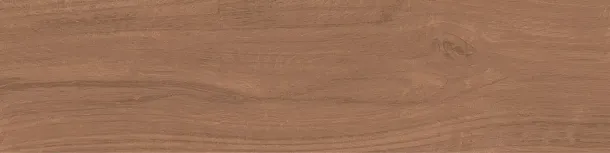 Фото Керамогранит Kerama Marazzi Аргания коричневый матовый 9,9x40,2x0,8 (KM1040G0031N) Россия