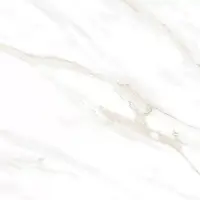 Фото Керамогранит Calacatta Clarity Gold Белый Матовый 60x60 (х9999304212)