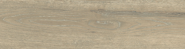 Фото Керамогранит DW02 Dream Wood Latte Неполированный 14,6x60x8 Россия