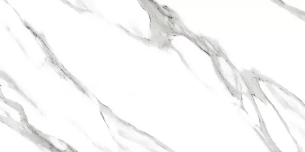 Фото Керамогранит Ennface ENMAR1004GL60120 Arabescato White Glossy 120x60x0.9 Индия