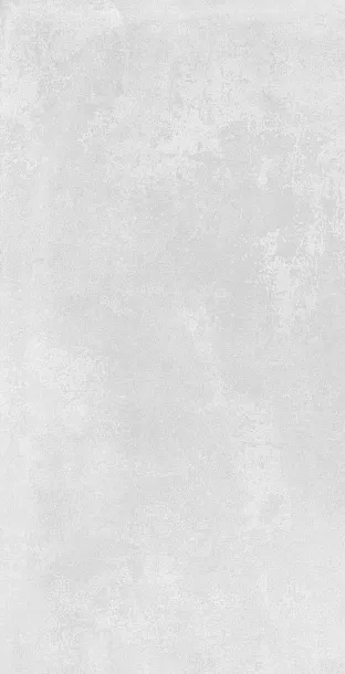 Фото Керамогранит Azulev Organic Grey RC 60x120 Испания