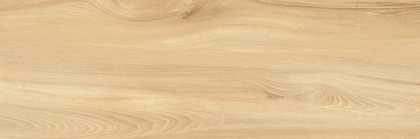 Фото Плитка Woodstyle Elm 300x900x10,5 (WT93WOS11) Беларусь