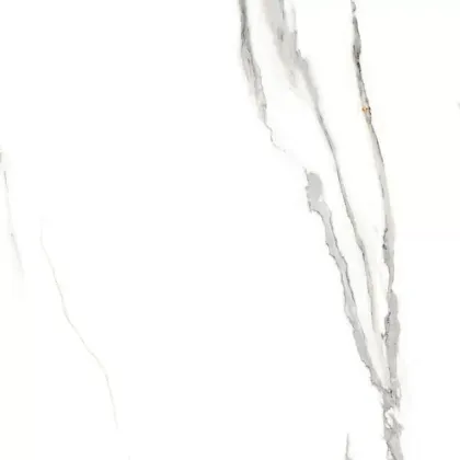 Фото Керамогранит Eternal ETMAR1219GL6060 Statuario Rock Glossy 60x60 Индия