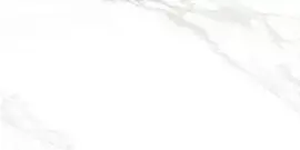 Фото Керамогранит Carrara Excellent Silver Белый Матовый 60x120 (х9999304538)