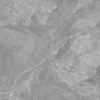 Фото Керамогранит Ceradim Regnum Grigio Серый Матовый 59,5Х59,5