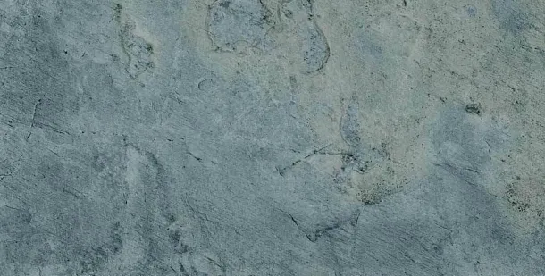 Фото Керамогранит Prissmacer Nordic Slate Sage 60x120 Испания