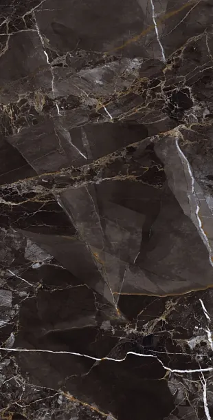 Фото Керамогранит Protiles PT12S7067 Nero Pol 1200х600х9 Узбекистан