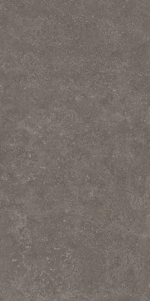 Фото Керамогранит Kerama Marazzi Касабланка HP коричневый матовый обрезной 60x119,5x0,9 (KM6012G0151R) Россия