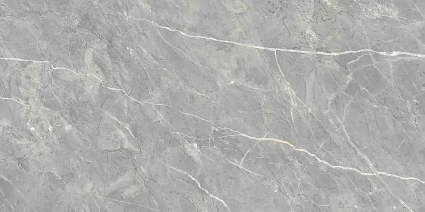 Фото Керамогранит Ennface ENSTN8003LM60120 Marcasite Glossy 60x120 Индия