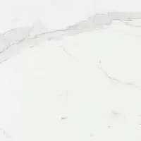 Фото Керамогранит Benadresa Status RECT 60x60