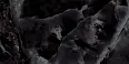 Керамогранит Laparet Andora Black Чёрный Полированный 60Х120