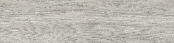 Фото Керамогранит Aspen Graphite sugar-эффект 151x602 (GP1560ASP25) Россия