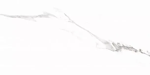 Фото Керамогранит Carrara Rect матовая 60x120 Узбекистан