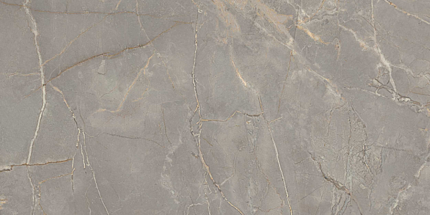 Фото Керамогранит BR03 Bernini Grey полированный 60x120x10 Россия