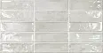 керамическая плитка Ecoceramic Pool Grey 31,6x60