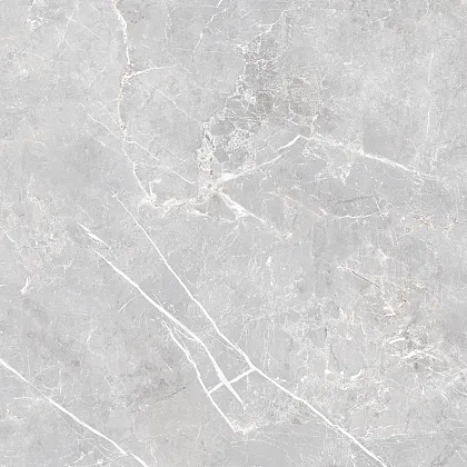 Фото Керамогранит Laparet Lp6060G0071R Lune Grigio Серый Матовый Карвинг 59,5Х59,5 Россия