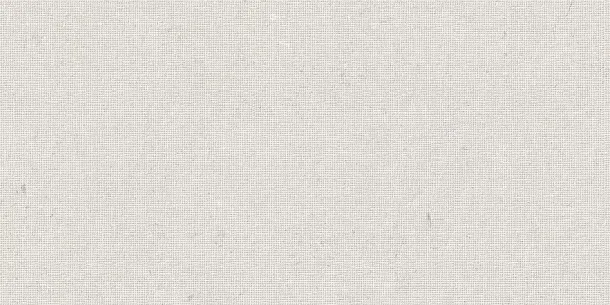 Фото Декор Tau Ceramica DC. Calcare White 60x120 Испания