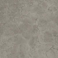 Фото Керамогранит Imola Ceramica BLSV 60G RM 60x60