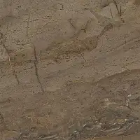 Фото Керамогранит SG164000N Royal коричневый 40,2х40,2