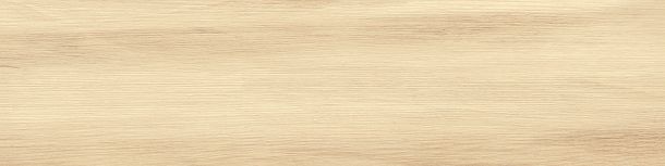 Фото Керамогранит Alder Beige матовый 151x602 (GP1560ALD11) Россия