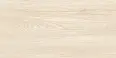 Керамогранит Eternal ETWD1234MT60120 Oak Beige Matt 60x120