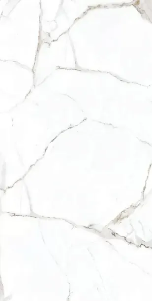 Фото Керамогранит Alpas Rockford Satin 60x120 Индия