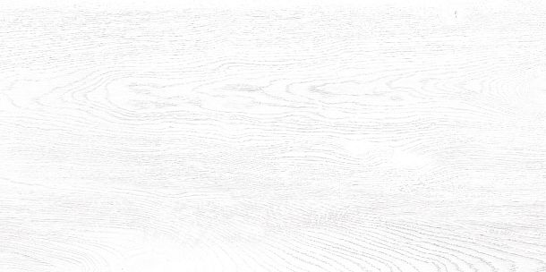 Фото Плитка Wood 249x500 (TWU09WOD000) Россия