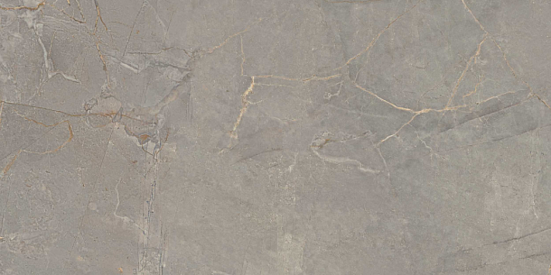 Фото Керамогранит BR03 Bernini Grey неполированный 60x120x10 Россия