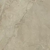 Керамогранит ELEGANCE NATURAL NPLUS 75x75 Фото Керамогранит ELEGANCE NATURAL NPLUS 75x75