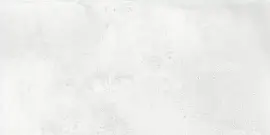 Керамогранит Cemento Bianco 60x120 (NTT99604M) Индия Фото Керамогранит Cemento Bianco 60x120 (NTT99604M)