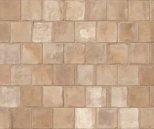 Фото Керамогранит Imola Ceramica TCOT EMI18 20 20x20 Италия