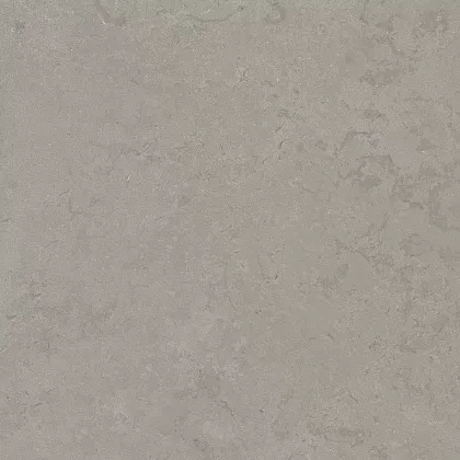 Фото Керамогранит DD640920R Про Лаймстоун серый натуральный обрезной 60х60 Россия