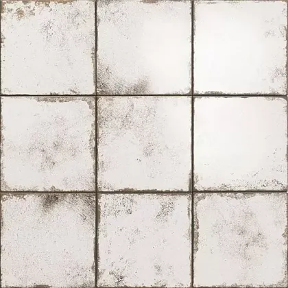 Фото Керамогранит Metallici white 20x20 Испания