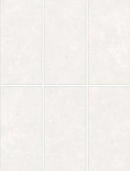 Фото Керамогранит Sandstar Bianco Carving 60x120 Индия