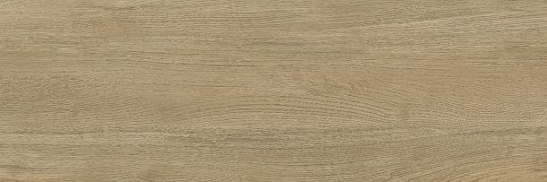 Фото Плитка Woodstyle Oak 300x900x10,5 (WT93WOS21) Беларусь