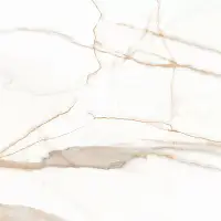 Фото Керамогранит Calacatta Goddes Gold Белый Полированный 60x60 (х9999301499)