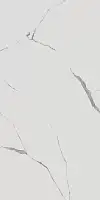 Фото Керамогранит Kerama Marazzi Монте Тиберио белый лаппатированный обрезной 80x160x0,9 (SG572192R)