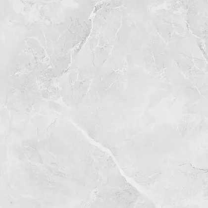 Фото Керамогранит Laparet LP6060G0241R Berna Silver светло-серый матовый 59,5х59,5 Россия