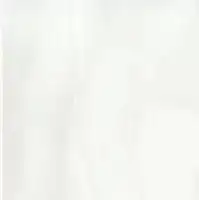 Фото Керамогранит ABS WH6 120 LP 120x120