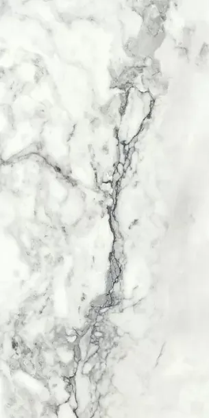 Фото Керамогранит Imola Ceramica BRECAP6 12 RM 60x120 Италия
