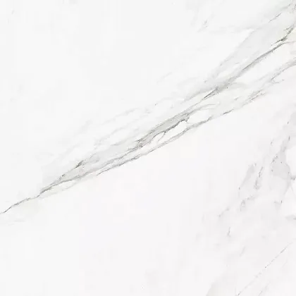 Фото Керамогранит Callacata Silver Rect матовая 60x60 Узбекистан