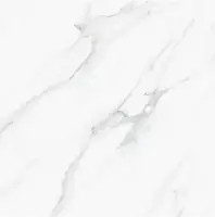 Фото Керамогранит Satuario Platina Polished 60x60 (С0003688)