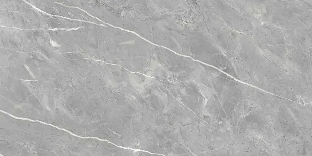 Фото Керамогранит Ennface ENSTN8003LM60120 Marcasite Glossy 60x120 Индия