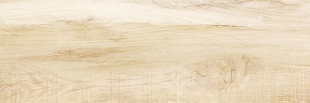 Фото Плитка Canyon Wood 246x740 (WT15CAC08R) Россия