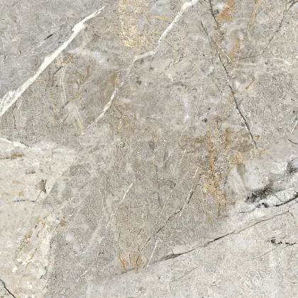 Фото Керамогранит Fantastico Grey Granito Матовый 60х60 Индия