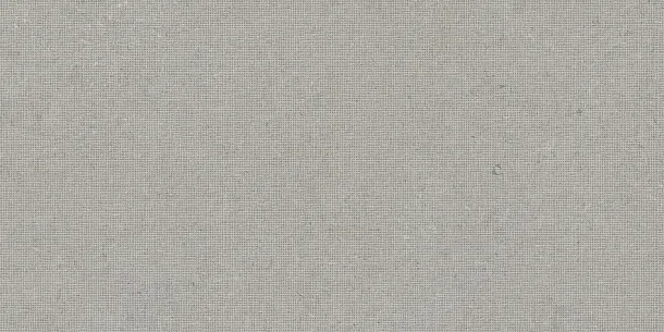 Фото Декор Tau Ceramica DC. Calcare Silver 60x120 Испания