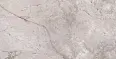 Керамогранит Alpas Marble Dragon Grey Silk 60x120