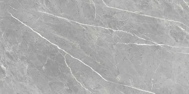 Фото Керамогранит Ennface ENSTN8003LM60120 Marcasite Glossy 60x120 Индия