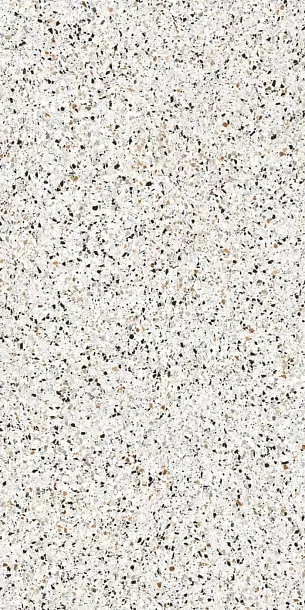 Фото Керамогранит I Naturali Terrazzo Bianco Venezia 5,6mm 1000x3000 (LAMF009796) Россия